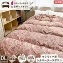 【10日限定100%ポイントバック】羽毛布団 羽毛掛け布団 グース グースダウン ダブル ロマンス小杉 ダウン93% 日本製 1.7kg DP370 掛け布団 ...