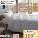 【25日限定抽選で最大100%ポイントバック】ロマンス小杉 公式 羽毛布団 羽毛掛け布団 シングル ダブル ロマンス小杉 ダウン90% 日本製 0.9kg 薄手...