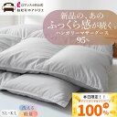 【25日限定抽選で最大100%ポイントバック】ロマンス小杉 公式 洗える 羽毛布団 ハンガリー マザーグースダウン95% 冬 シングル ロング セミダブル ダブ...