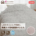真綿入り ダウンケット 夏用 春用 秋用 羽毛布団 シングル 羽毛掛け布団 シルク入り 羽毛布団 ロマンスナイト 2層構造 ムレにくい シングルロング ダブル ...