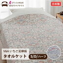 【エントリーで最大5倍】タオルケット いちご泥棒 シングル 綿100% モリス柄 日本製 コットンタオルケット VA モリス 厚手 パイル生地 夏掛け 肌掛け ...