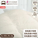 ロマンス小杉 公式 羽毛布団 綿100% 日本製 二層キルト 立体キルト シングル セミダブル ダブル クイーン 冬掛け 合掛け 肌掛け 掛け布団 布団 羽毛掛...