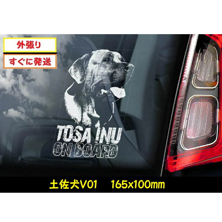 【土佐犬 V01】 スモークウインドウ に映える カーステッカー シールタイプ 外張り 165×100mm ホワイト印字 白色印字 黒い ボディ にも 日本 日本犬 大型犬 土佐闘犬 マスティフ Tosa 【送料無料】