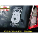 y zCgXCXVFp[h V01z X[NEChE ɉf J[XebJ[ V[^Cv O 220~100mm zCg F  {fB ɂ XCX ^ White Swiss Shepherd Dog zCgEXCXEVFp[hEhbO yz