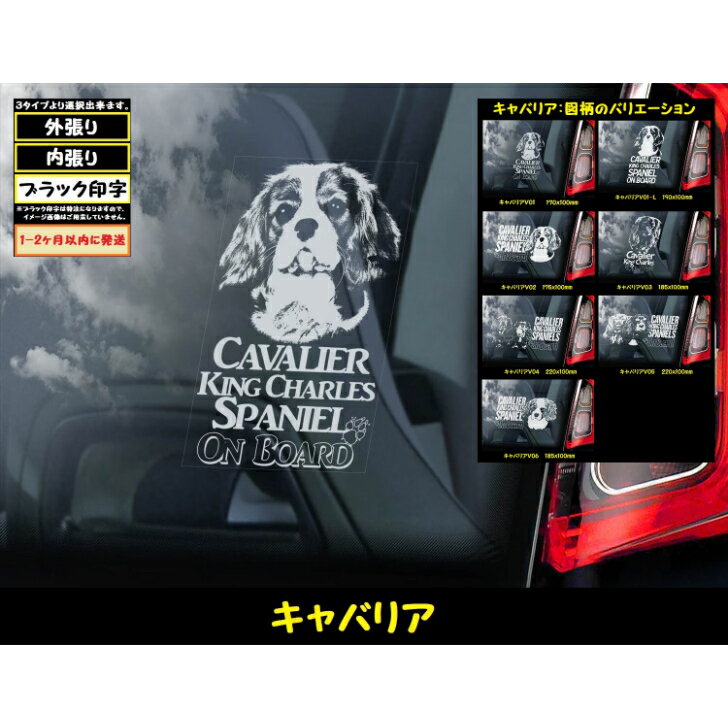  スモークウインドウ に映える ホワイト 印字 カーステッカー  小型犬 キャバリアキングチャールズスパニエル Cavalier King Charles Spaniel
