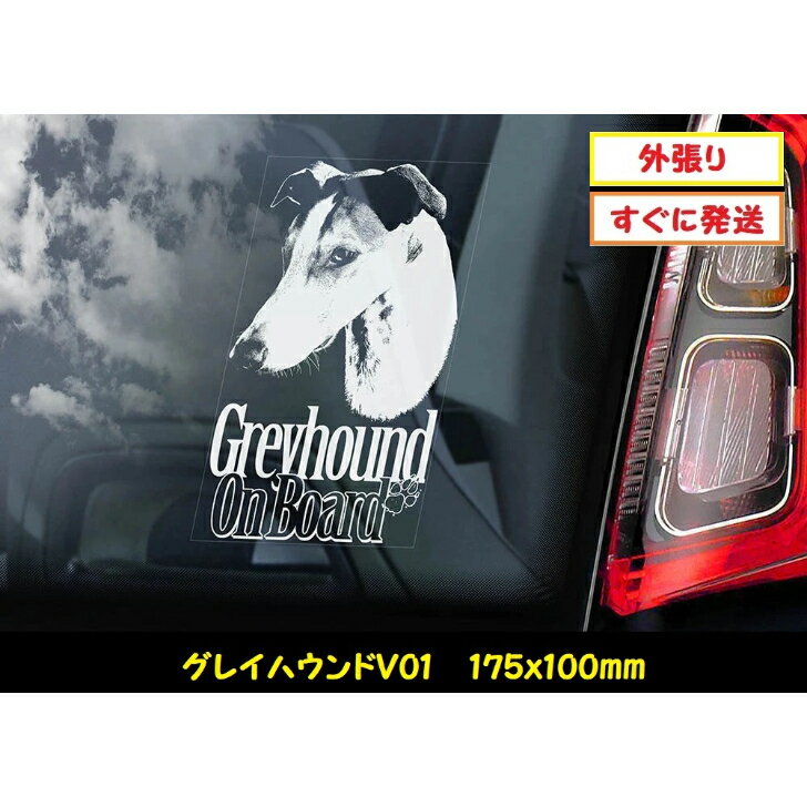  スモークウインドウ に映える カーステッカー シールタイプ シール 外張り 外貼り 175×100mm ホワイト印字 白色印字 黒い ボディ にも イングリッシュ・グレイハウンド 大型犬 イギリス Greyhound 