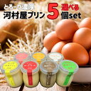 プリン 詰め合わせ ギフト 送料無料 クール便 エファール 河村屋 選べる 5個 セット 全7種類 板橋ぷりん メープル ほろにが コーヒー 紅茶 とろ生 かぼちゃ 板橋の逸品 おやつ お歳暮 お中元 お土産 贈り物 プレゼント おすすめ お取り寄せ グルメ
