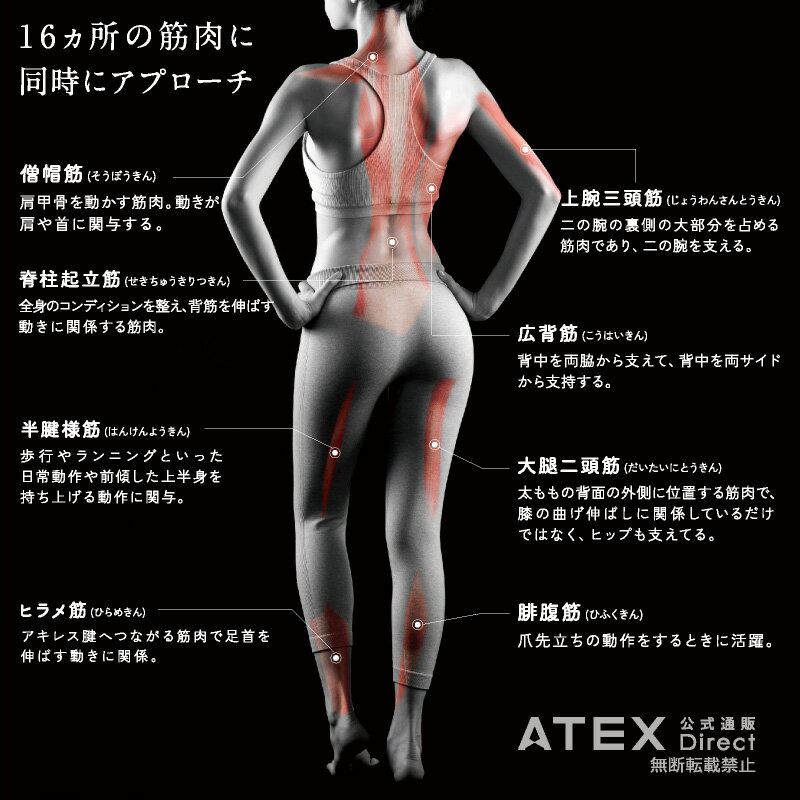 【アウトレット】ルルド シェイプアップボード AX-HXL300R 振動ボード ダイエット ボード 振動ブレード 振動マシン 振動 トレーニング マシン 振動マシン コンパクト ダイエット 振動マシン トレーニングマシン 振動 hxl300r アテックス ATEX