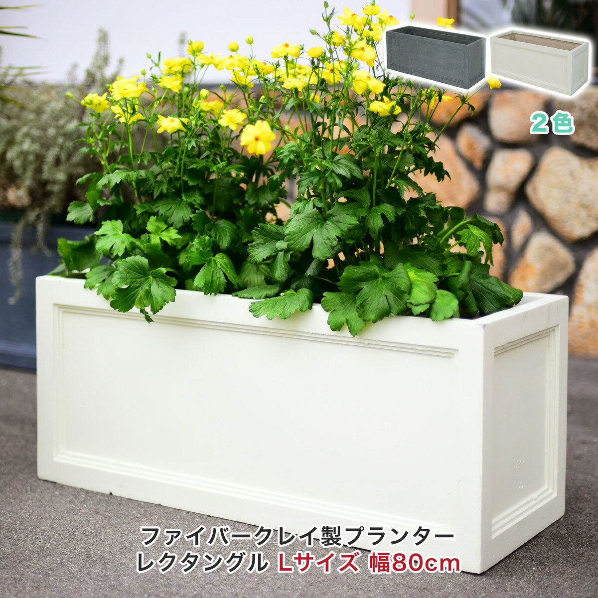 レクタングル Lサイズ 単品 プランター 屋外 長方形 寄せ植え おしゃれ 横長 大型 野菜 園芸 植木鉢 鉢 室内 四角 可愛い かわいい 玄関 ファイバークレイ 野菜 ガーデニング rctpl-lのサムネイル