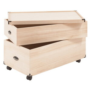 ＼ページ限定・ティースプーン付／　総桐押入れ収納ケース 2段 高さ54.5cm gb-0018 ★送料無料★[桐箱 桐..