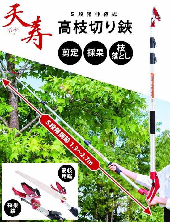 ★送料無料★　天寿 伸縮式高枝切　【アンビル式 直径15mmまでOK 高枝切りばさみ】