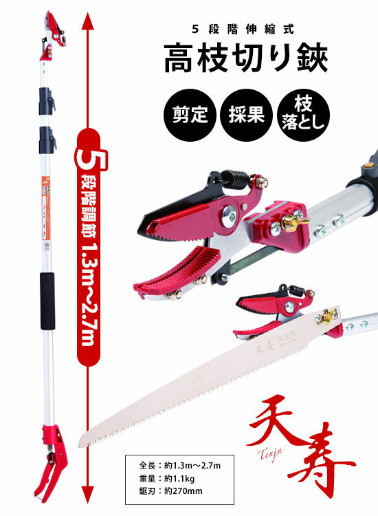 ★送料無料★　天寿 伸縮式高枝切　【アンビル式 直径15mmまでOK 高枝切りばさみ】