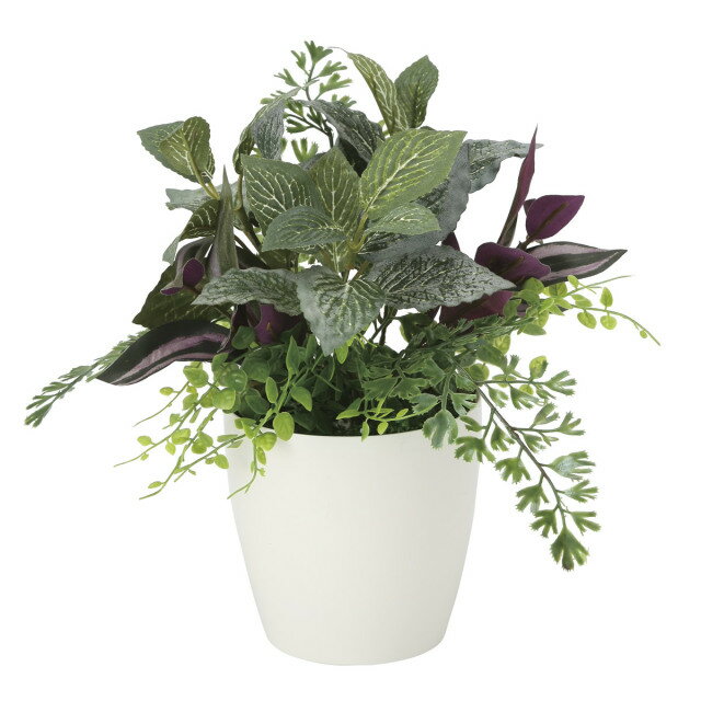 Rakuten - 光触媒 観葉植物 ミックスグリーンS 光の楽園（2100A35）