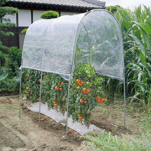 トマトの屋根 NT-18 夏野菜の雨除けハウス トマトの屋根 NT-18雨に敏感な夏物野菜を守り、安定した収穫を確保する雨よけハウスです！夏野菜は雨や湿度が過剰な場合、病気や裂果が起こりやすくなります。雨よけハウスで美しくみずみずしい野菜を育ててください。組立は簡単で、女性でも楽に組み立てられます。パイプやビニールは国内生産品で安心してお使い頂けます！家庭菜園から兼業農家、プロ農家まで使える、便利なトマトの屋根です。こちらは、1畝用で奥行1.84mの0.6坪用です。 1畝、0.6坪用の野菜栽培用の雨除けハウスです！ トマトの屋根 NT-18 の詳細 商品名 トマトの屋根 NT-18 サイズ(約) 間口：1.2m 奥行：1.84m 高さ：1.75m パイプ径：19.1mm 坪数 0.6坪(1畝用) その他 厚さ0.075mm農業用透明ビニール 区分 園芸用品 メーカー 南榮工業株式会社