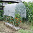 \ページ限定・ティースプーン付/ トマトの屋根 NT-27 【送料無料】 [小型ビニールハウス 1畝 雨よけハウス 透明 農業ハウス 簡単設置 トマト 夏野菜 ...