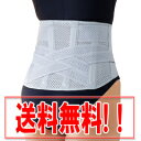 お医者さんのコルセット プレミアム仕様 2個セット【大きなサイズ】★送料無料★【smtb-s】
