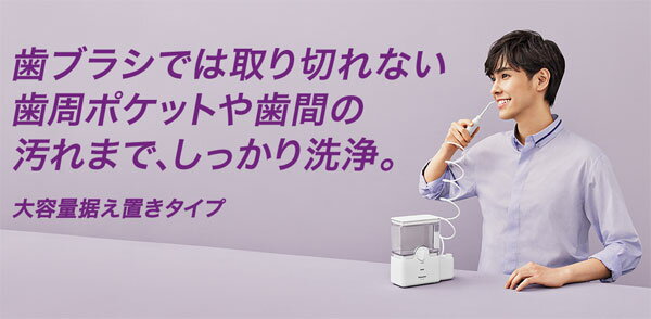 【在庫有】【送料無料・代引料無料】【パナソニッ...の紹介画像2