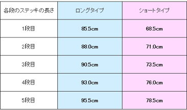 【在庫有】＼ページ限定・ティースプーン付／　折りたたみ杖 自立式 軽量 【送料無料・正規品】【ケーンセーフ プラス 2個】 ledライト付き 歩行補助 シルバーステッキ