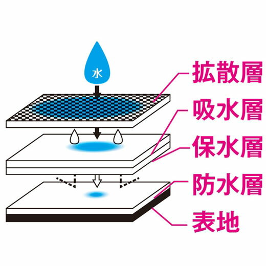 【在庫有】【日本製・送料無料】【心地よくフィットする安心ショーツ 同サイズ5色組 3L〜5L】尿漏れパンツ 大きいサイズ 軽失禁ショーツ 婦人用 5枚セット コットン 綿