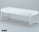診察台カバー 700×1800mm用(4)