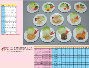 イワイサンプル 糖尿病関連 「主菜1」1式セット/食品サンプル/栄養指導用フードモデル