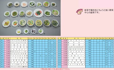 イワイサンプル 糖尿病関連 「副菜5」1式セット/食品サンプル/栄養指導用フードモデル