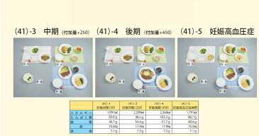 イワイサンプル　妊婦食　献立「妊娠初期・中期・後期・妊娠高血圧症」/食品サンプル/栄養指導用フードモデル