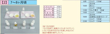 イワイサンプル　離乳食　献立モデル（Bセット）【1式セット】/食品サンプル/栄養指導用フードモデル