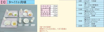 イワイサンプル　離乳食　献立モデル（Bセット）【1式セット】/食品サンプル/栄養指導用フードモデル