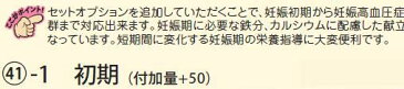 イワイサンプル　妊婦食　献立「妊娠初期・中期・後期・妊娠高血圧症」/食品サンプル/栄養指導用フードモデル