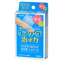 ニチバン ケアリーヴ 治す力 防水タイプ CNB9L 9枚入