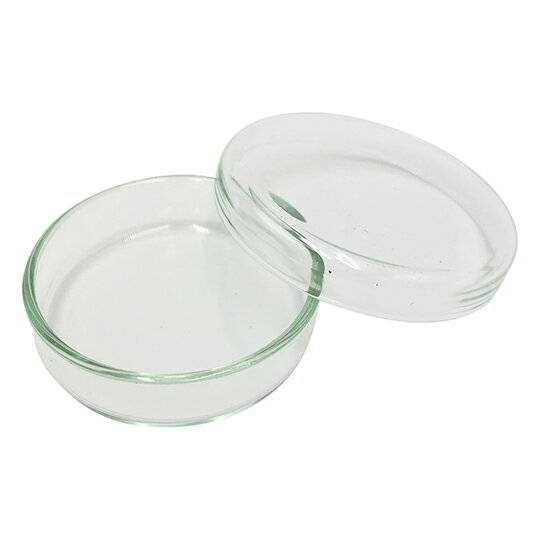 スタンダードシャーレ　φ50×12mm　18598