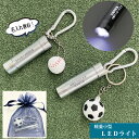 \ LEDライト ボール付き キーホルダー 卒団記念品 卒業記念品 卒業記念 記念品 卒部記念 卒業 卒団 お祝い 防犯ライト 防災グッズ 小学生 サッカー 野...