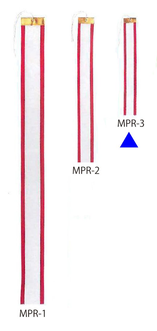 トロフィー、優勝カップ用ペナント MPR3（幅4cm×30cm）【トロフィー・リボン・優勝カップ・表彰・参加賞・記念・記念…