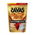 SAVASХ˥ץƥ󥳥̣(60ʬ)840g#CT1024