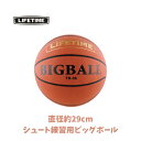 GLOBAL ライフタイム LIFETIME ビッグボール バスケットシュート用ボール バスケットボール 部活 中学校 高校 男女 7号球より大きい 直径約29...