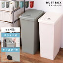 ゴミ箱 45L 屋外 デザインゴミ箱 スリム ゴミ箱 分別ゴミ箱 スタイリッシュデザイン おしゃれ 新生活 母の日