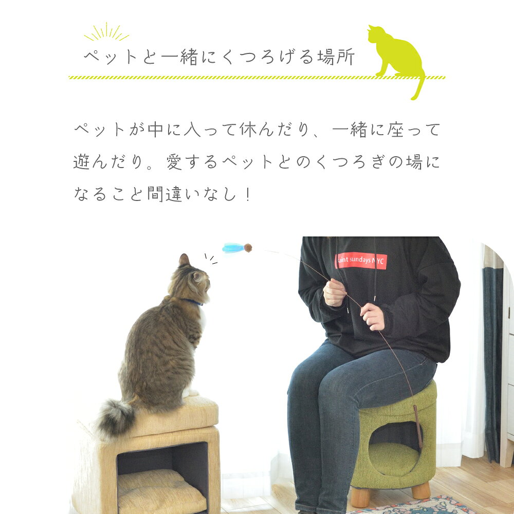 ペットハウス スツール チェア 椅子 イス 腰掛 腰掛け 背もたれなし ペット 犬 猫 イヌ ネコ いぬ ねこ クッション付き 脚付き ペットハウススツール 収納 クッション 木製 布製 ファブリック 丸 円形 丸型 ベージュ ナチュラル グリーン 父の日 [2]