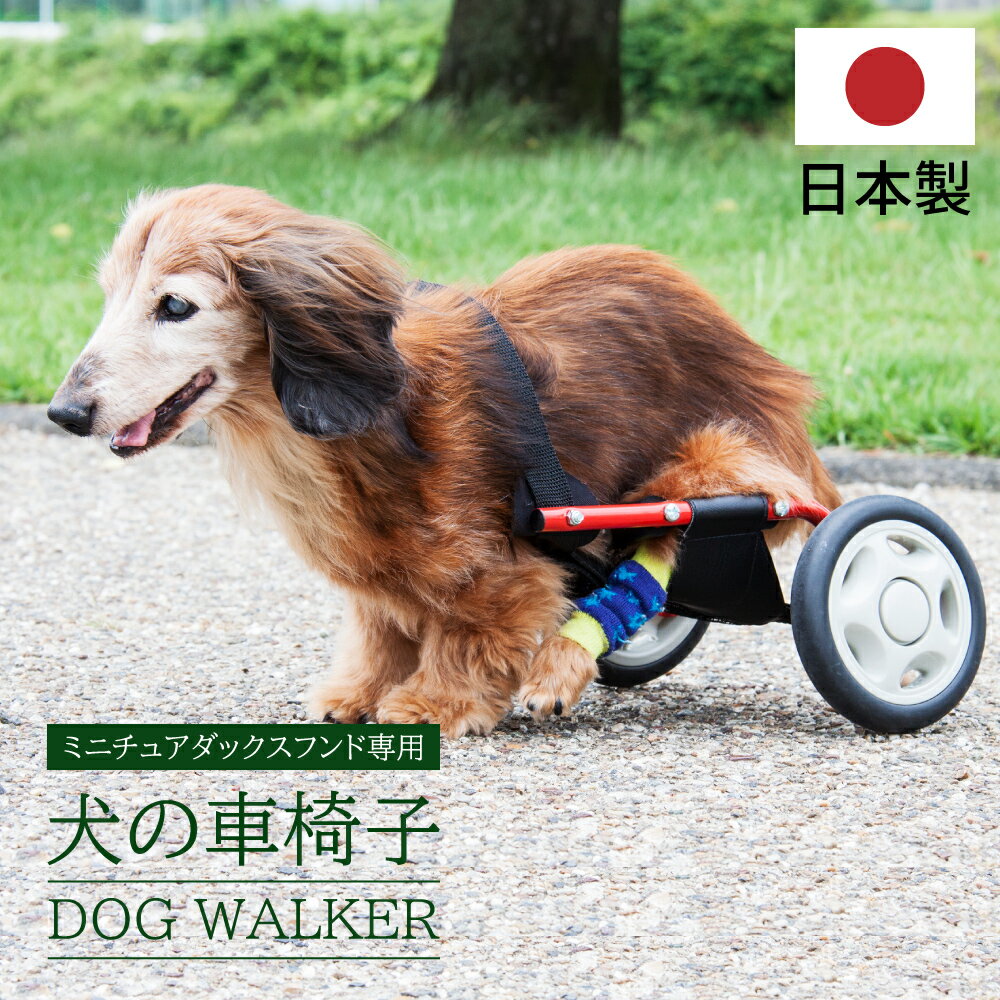 犬 猫 車椅子 補助輪 ペット車椅子 小型犬 中型犬犬用車イス ペット用車イス 障害者ペット 犬用 猫用 リハビリ用歩行補助具 後ろ足 ドッグウォーカー お散歩 補助輪 散歩車 練習車 コーギー 柴犬など 老犬 高齢犬 シニアドッグ 犬用介護 リハビリ 4輪 XS/S