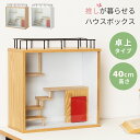 コレクションシェルフ フィギュア 収納 棚 推し活 推し棚 コレクションラック 収納ケース ディスプレイ グッズ収納 シンプル ナチュラル 北欧 推し活 グッズ...