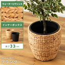 \ レビュー特典あり★ / プランター 8号 8号用 植木鉢 グリーンポット 鉢植え 丸 丸型 円 ウォーターヒヤシンス 水草 アジアン リゾート インナーボックス 丸洗い ごみ箱 ゴミ箱 分別 野菜ストッカー キッチン 軽量 軽い ベージュ ブラウン 茶色