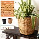 \ レビュー特典あり★ / プランター 7号 7号用 植木鉢 グリーンポット 鉢植え 丸 丸型 円 ウォーターヒヤシンス 水草 アジアン リゾート インナーボックス 丸洗い ごみ箱 ゴミ箱 分別 野菜ストッカー キッチン 軽量 軽い ベージュ ブラウン 茶色