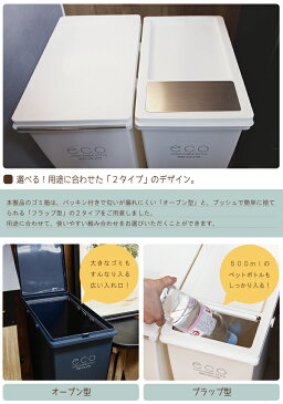 【同種同色2個セット】ダストボックス 21L ごみ箱 ゴミ箱