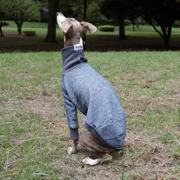 霜カラー ロングスリーブ スウェット【 犬 服 イタグレ服 イタリアングレーハウンド イタリアングレイハウンド Tシャツ 洋服 】【メール便 送料無料 】