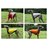 クーポン付き♪名入れ/ネームインアメフトラグランTシャツ【犬服イタグレ服イタリアングレーハウンドイタリアングレイハウンドTシャツ服】【メール便送料無料】