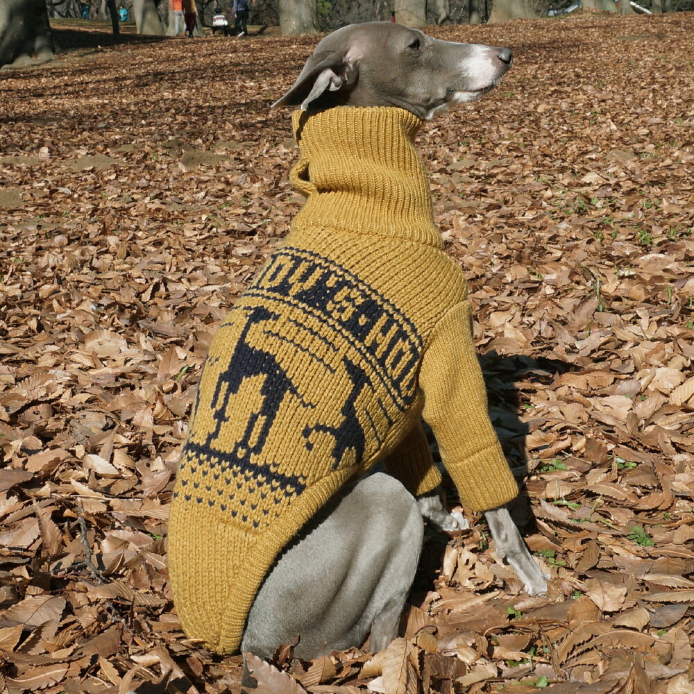 イタグレ柄 セーター マスタード×ネイビー 【 犬 服 イタグレ服 イタリアングレーハウンド イタリアングレイハウンド ニット 服 】【メール便 送料無料 】