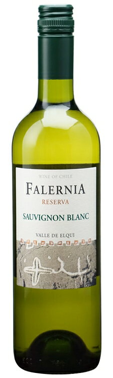 【全国一律送料無料】ファレルニア ソーヴィニヨン ブラン レセルバ 750ml 24本(2ケース)【インポーター直送】　｜　 チリ　エルキ ヴァレー 白 辛口 ワイン Sauvignon Blanc Reserva ビーニャ ファレルニア