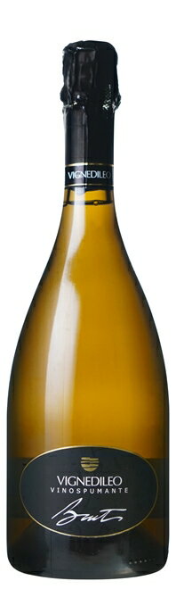 楽天ワインと地酒　アティグスヴィーノ スプマンテ ブリュット ヴェルディッキオ 750ml 【インポーター直送】　｜　 イタリア　マルケ 白 辛口 ワイン Vino Supumante Brut Verdicchio ヴィニェディレオ（トレ カステッリ）