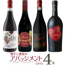 厳選 「陰干し葡萄のアマローネスタイル4本 A」ver3.0 | 赤 赤ワイン セット 陰干 アパッシメント 製法 アマローネ スタイル イタリア ザブ イル ...