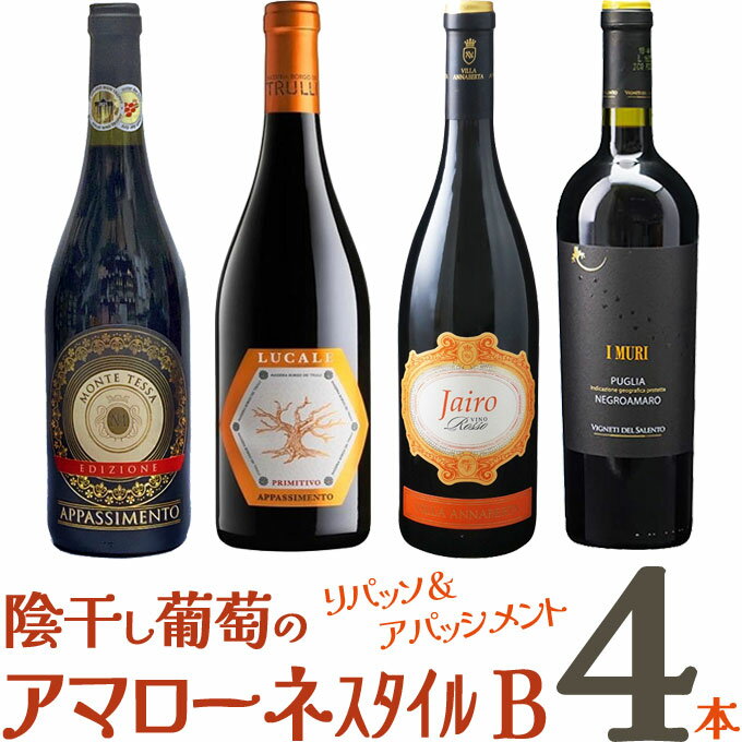 厳選 「陰干し葡萄のアマローネスタイル4本　B」　｜　赤 赤ワイン セット 陰干 アパッシメント 製法 アマローネ スタイル イタリア ジャイロ ロッソ ドンナ マリア トゥルッリ イムーリ